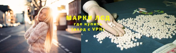 шишки Елизово