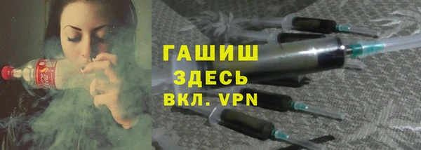шишки Елизово