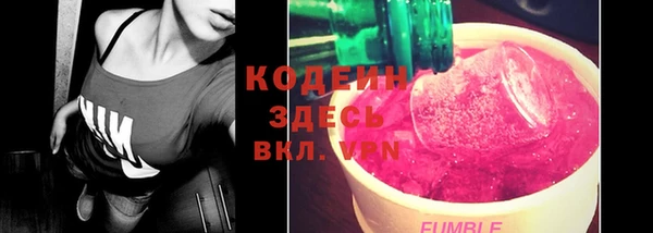 шишки Елизово