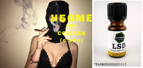 шишки Елизово