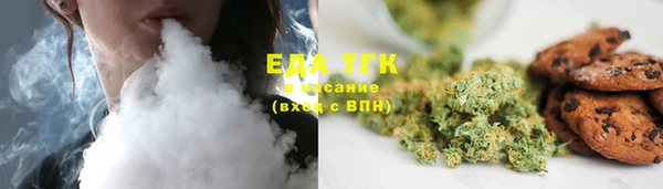 шишки Елизово