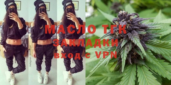 шишки Елизово