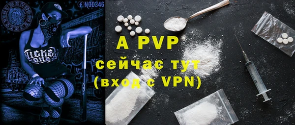 шишки Елизово