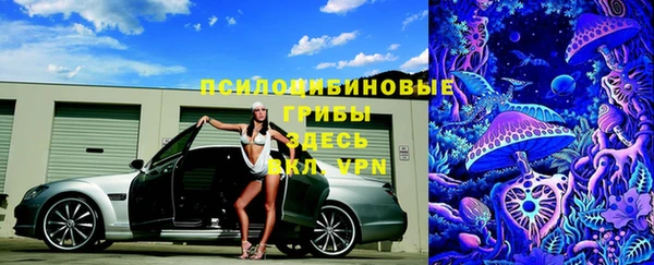 шишки Елизово