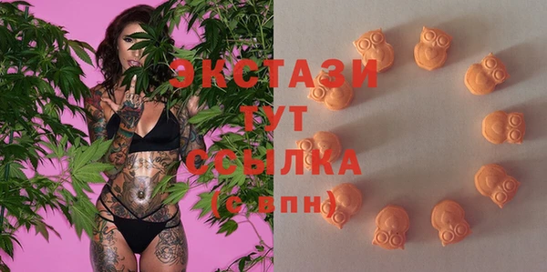 шишки Елизово