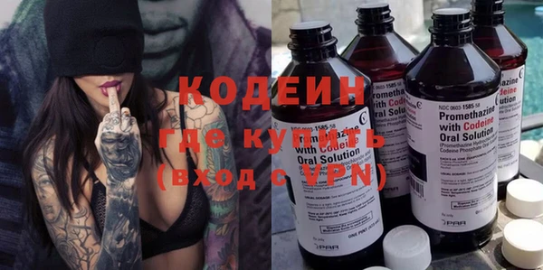 шишки Елизово