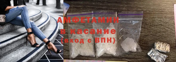 шишки Елизово