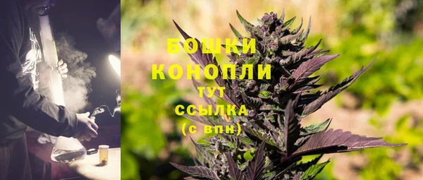 шишки Елизово